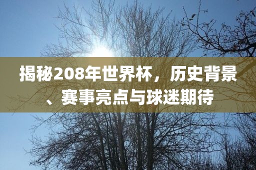 揭秘208年世界杯，历史背景、赛事亮点与球迷期待