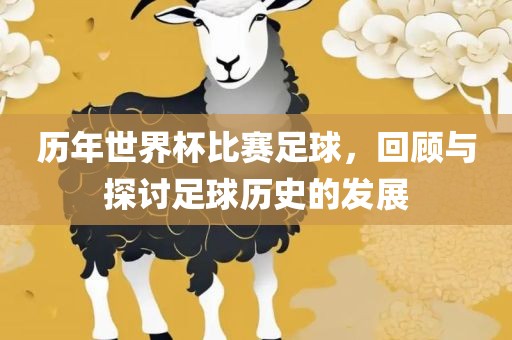 历年世界杯比赛足球，回顾与探讨足球历史的发展