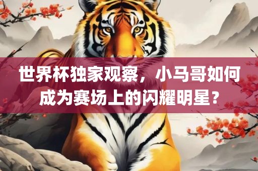 世界杯独家观察，小马哥如何成为赛场上的闪耀明星？