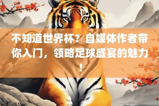 不知道世界杯？自媒体作者带你入门，领略足球盛宴的魅力！