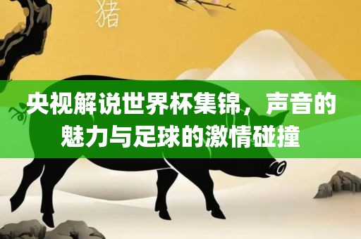 央视解说世界杯集锦，声音的魅力与足球的激情碰撞