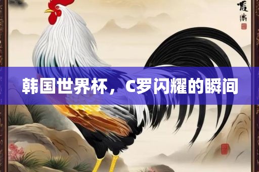 韩国世界杯，C罗闪耀的瞬间