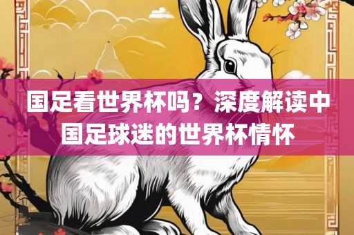 国足看世界杯吗？深度解读中国足球迷的世界杯情怀