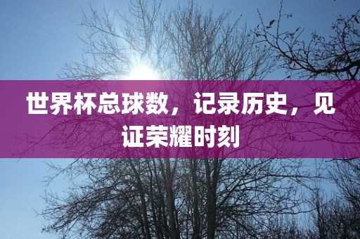 世界杯总球数，记录历史，见证荣耀时刻