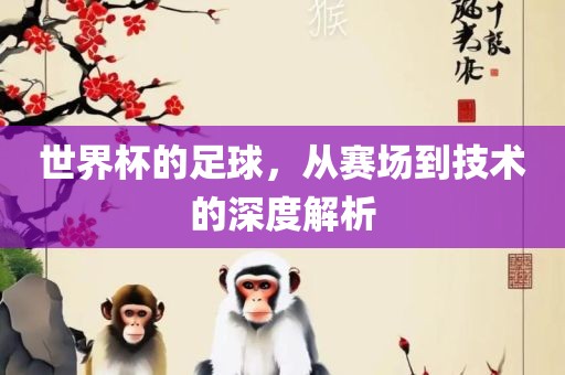 世界杯的足球，从赛场到技术的深度解析