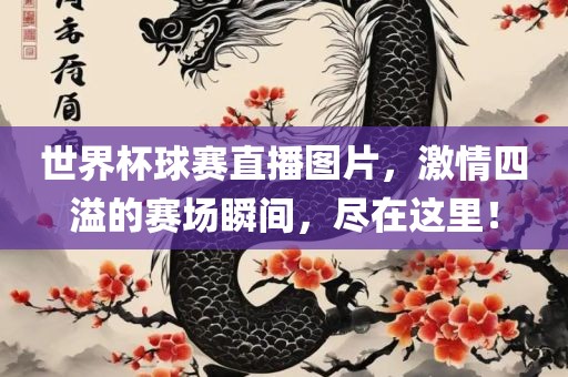 世界杯球赛直播图片，激情四溢的赛场瞬间，尽在这里！