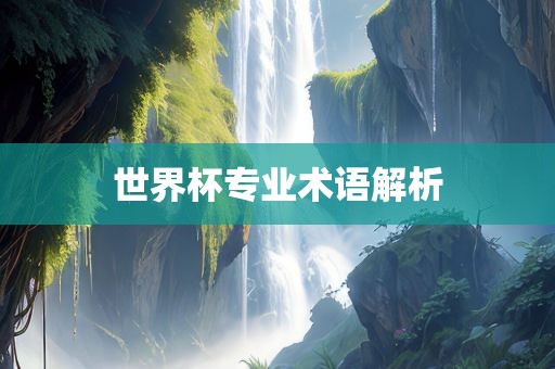 世界杯专业术语解析