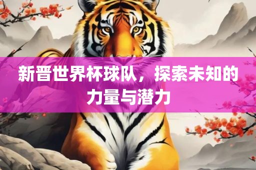 新晋世界杯球队，探索未知的力量与潜力