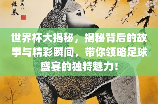 世界杯大揭秘，揭秘背后的故事与精彩瞬间，带你领略足球盛宴的独特魅力！