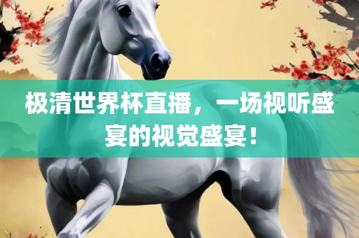 极清世界杯直播，一场视听盛宴的视觉盛宴！