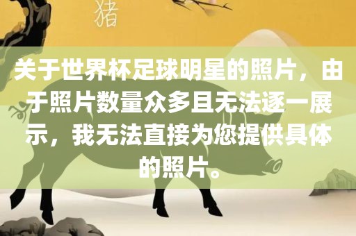 关于世界杯足球明星的照片，由于照片数量众多且无法逐一展示，我无法直接为您提供具体的照片。