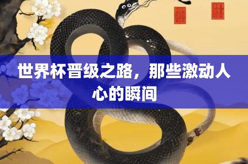 世界杯晋级之路眉山市正发家政服务有限公司，那些激动人心的瞬间