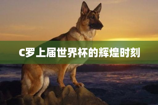 C罗上届世界杯的辉煌时刻