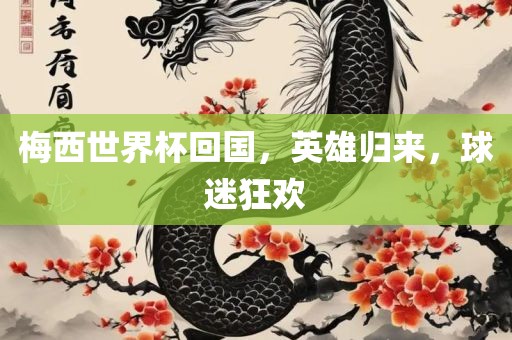 梅西世界杯回国，英雄归来，球迷眉山市正发家政服务有限公司狂欢