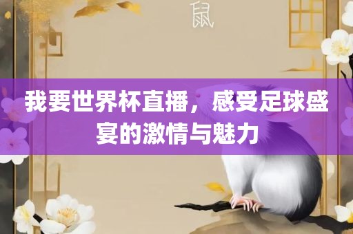 我要世界杯直播，感受足球盛宴的激情与魅力