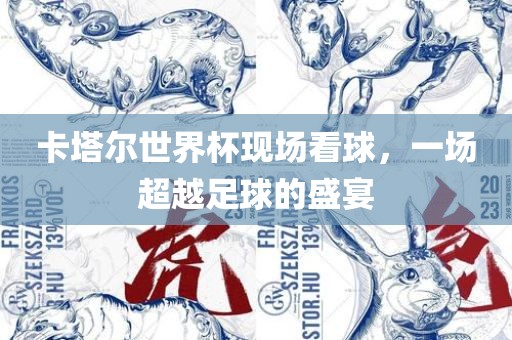 卡塔尔世界杯现场看球，一场超越足球的盛宴