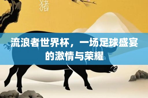 流浪者世界杯，一场足球盛宴的激情与荣耀