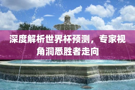 深度解析世界杯预测，专家视角洞悉胜者走向