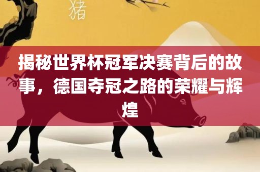 揭秘世界杯冠军决赛背后的故事，德国夺冠之路的荣耀与辉煌