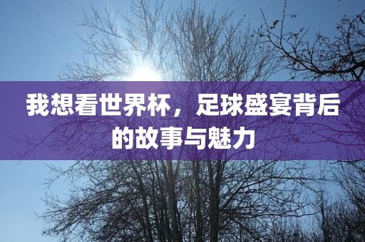 我想看世界杯，足球盛宴背后的故事与魅力