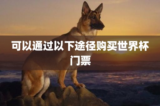 可以通过以下途径购买世界杯门票