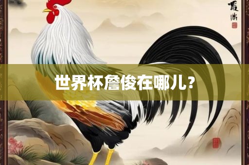 世界杯詹俊在哪儿？