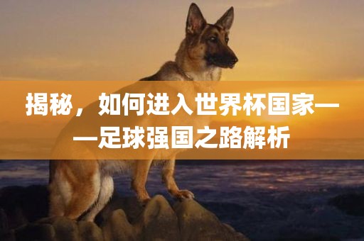揭秘，如何进入世界杯国家——足球强国之路解析
