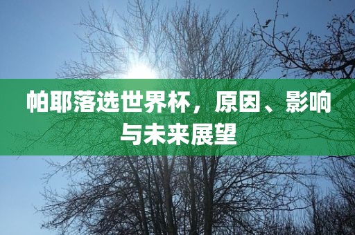 帕耶落选世界杯，原因、影响与未来展望