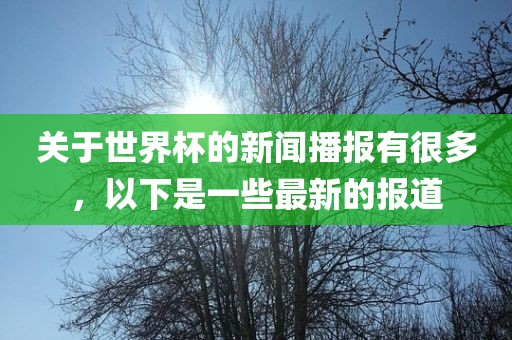 关于世界杯的新闻播报有很多，以下是一些最新的报道