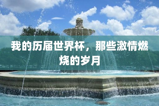 我的历届世界杯，那些激情燃烧的岁月