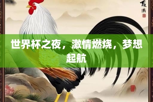 世界杯之夜，激情燃烧，梦想起航