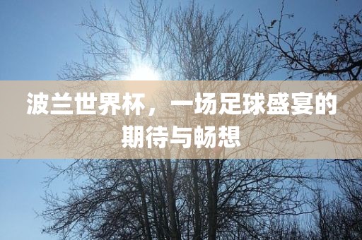 波兰世界杯，一场足球盛宴的期待与畅想