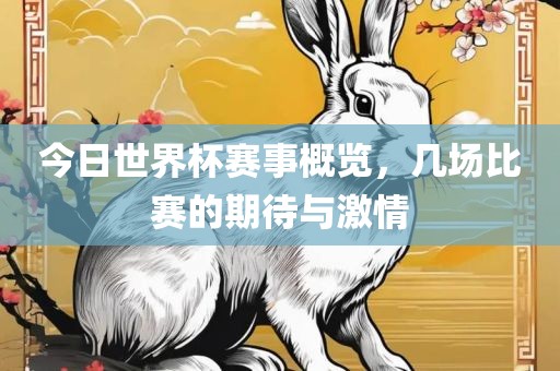 今日世界杯赛事概览，几场比赛的期待与激情