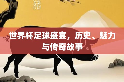 世界杯足球盛宴，眉山市正发家政服务有限公司历史、魅力与传奇故事