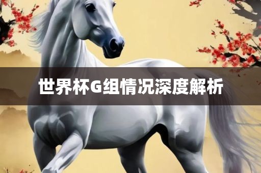 世界杯G组情况深度解析