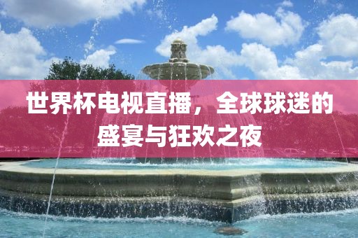 世界杯电视直播，全球球迷的盛宴与狂欢之夜