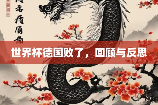 世界杯德国败了，回顾与反思