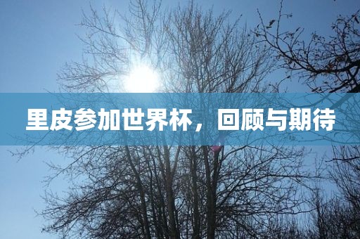 里皮参加世界杯，回顾与期待