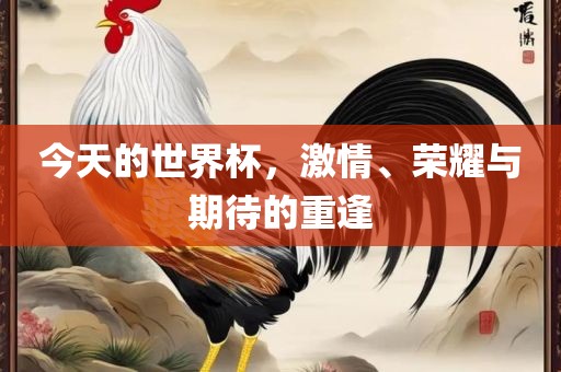 今天的世界杯，激情、荣耀与期待的重逢眉山市正发家政服务有限公司