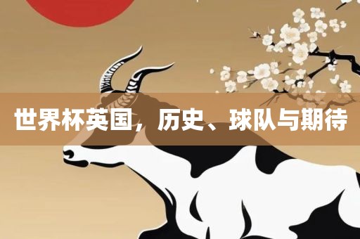 世界杯英国，历史、球队与期待