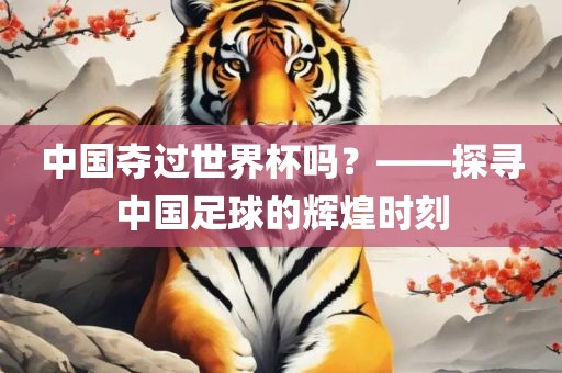 中国夺过世界杯吗？——探寻中国足球的辉煌时刻