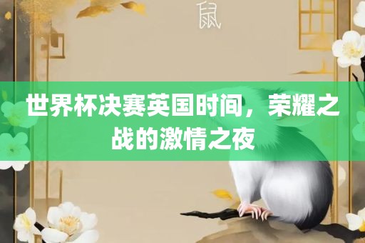 世界杯决赛英国时间，荣耀之战的激情之夜