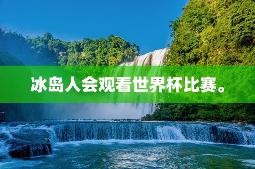 冰岛人会观看世界杯比赛。