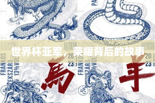 世界杯亚军，荣耀背后的故事眉山市正发家政服务有限公司