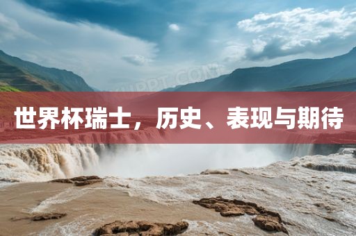 世界杯瑞士，历史、表现与期待