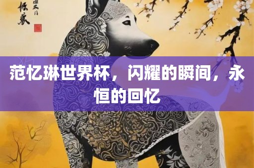 范忆琳世界杯，闪耀的瞬间，永恒的回忆