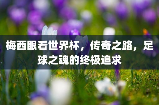 梅西眼看世界杯，传奇之路，足球之魂的终极追求