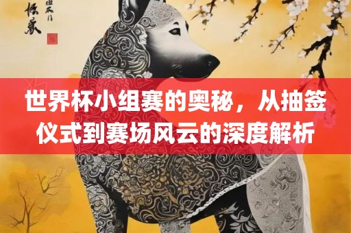 世界杯小组赛的奥秘，从抽签仪式到赛场风云的深度解析