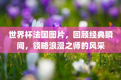 世界杯法国图片，回顾经典瞬间，领略浪漫之师的风采