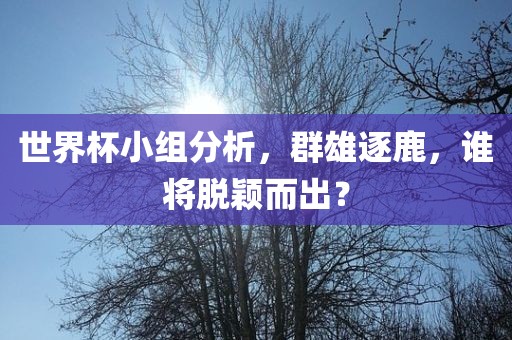 世界杯小组分析，群雄逐鹿，谁将脱颖而出？